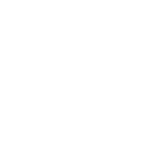 Hound Dog Films: Creating high-quality, engaging video content for brands & businesses. From storytelling to production, we bring your vision to life.